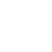 INGLOT 